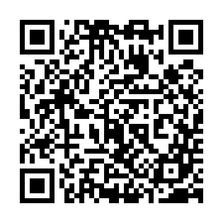 QR code for 333547