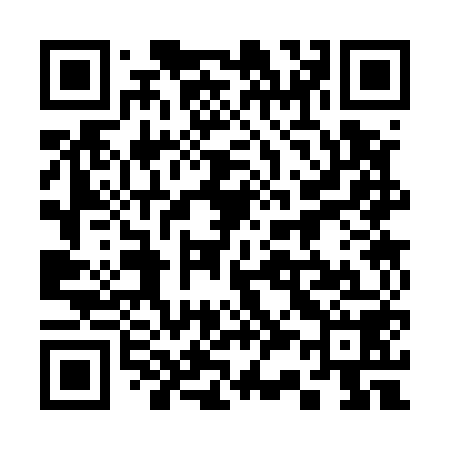 QR code for 333558