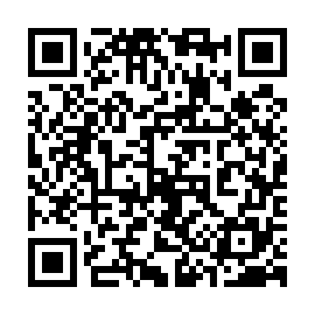 QR code for 333575