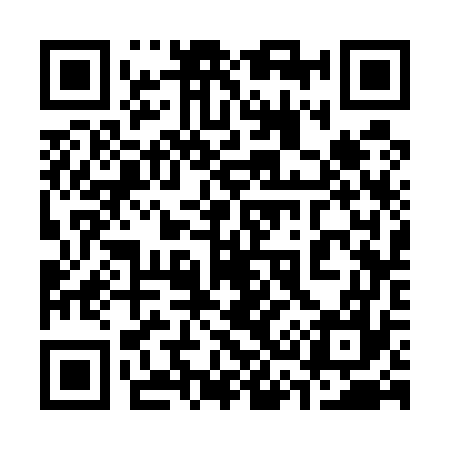 QR code for 333577