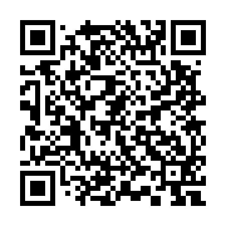 QR code for 333593