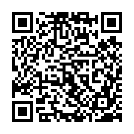 QR code for 333676