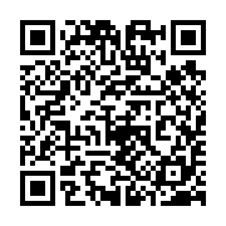 QR code for 333695