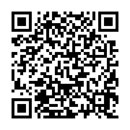 QR code for 333717