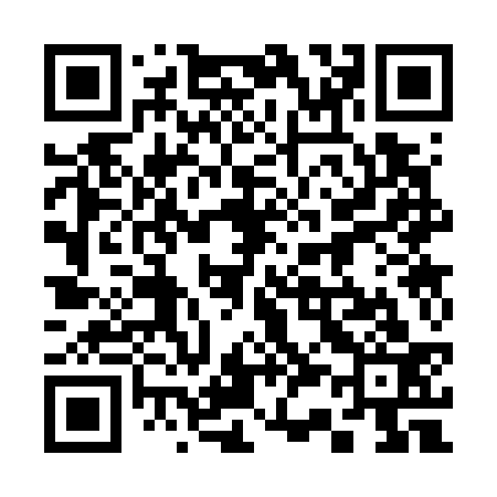 QR code for 333733