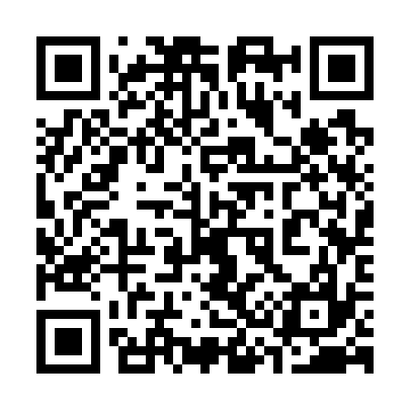 QR code for 333737