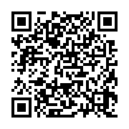 QR code for 333738