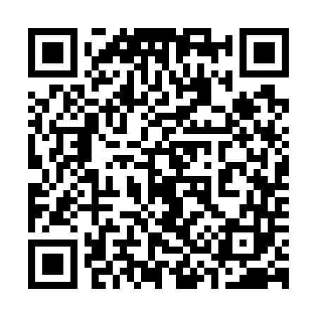 QR code for 333743