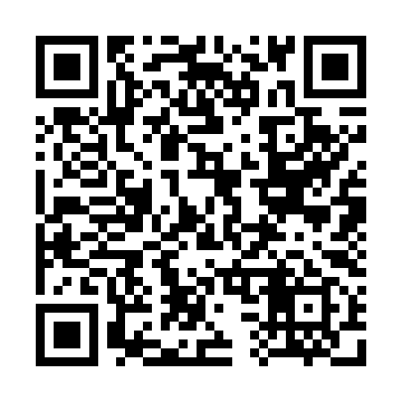 QR code for 333799