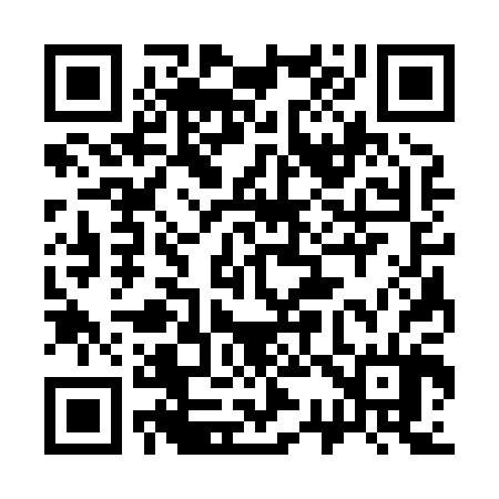 QR code for 333804