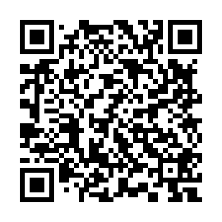 QR code for 333808