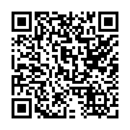 QR code for 333864