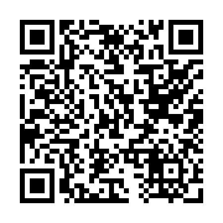 QR code for 333886