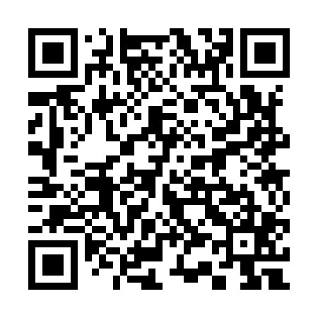 QR code for 333905