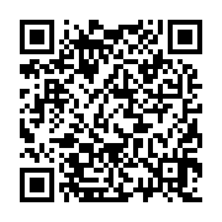 QR code for 333914