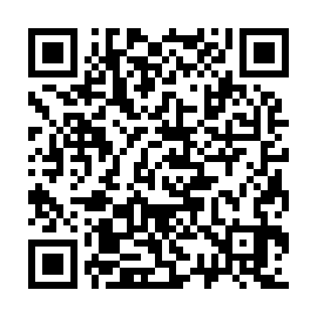 QR code for 333933