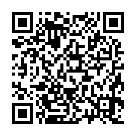 QR code for 333975