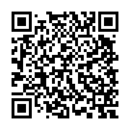 QR code for 334455