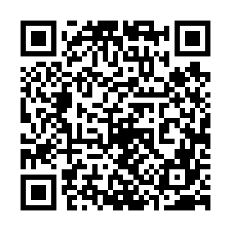 QR code for 334666