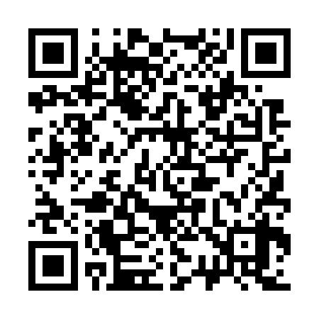 QR code for 334738