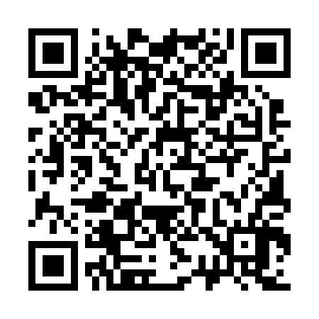 QR code for 335206