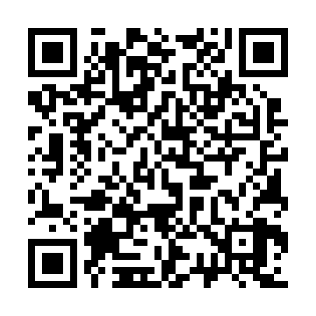 QR code for 335228