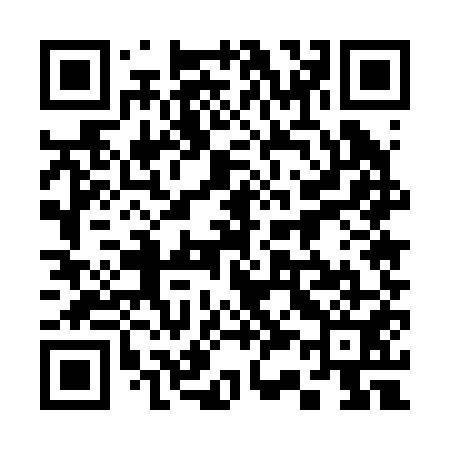 QR code for 335251