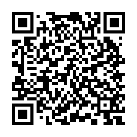 QR code for 335252