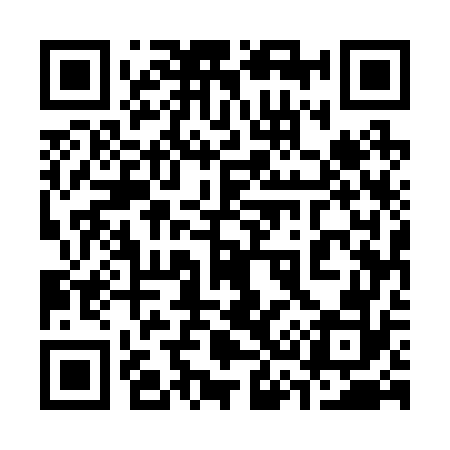 QR code for 335272
