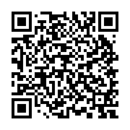 QR code for 335290