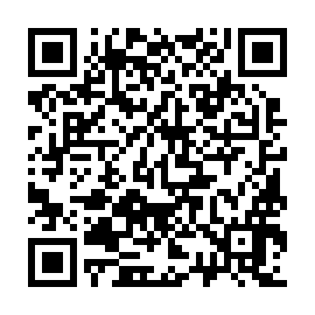 QR code for 335296
