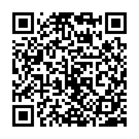 QR code for 335300