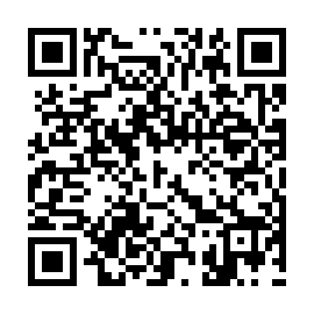 QR code for 335308
