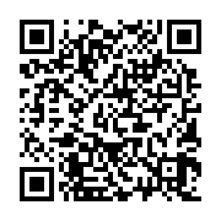 QR code for 335309