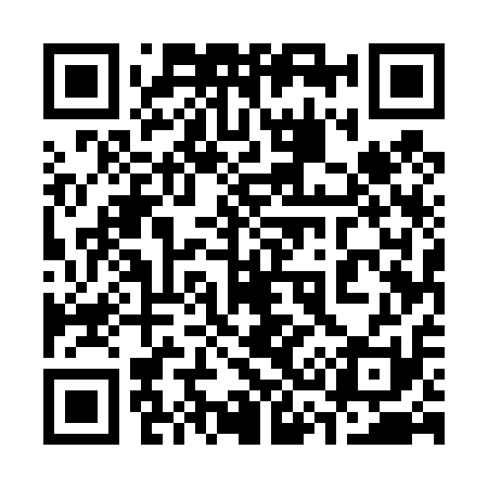 QR code for 335411