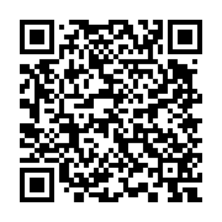 QR code for 335453