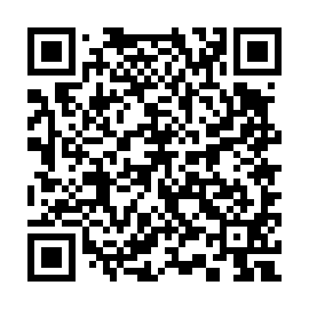 QR code for 335491