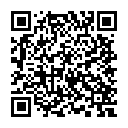 QR code for 335507