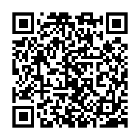 QR code for 335533