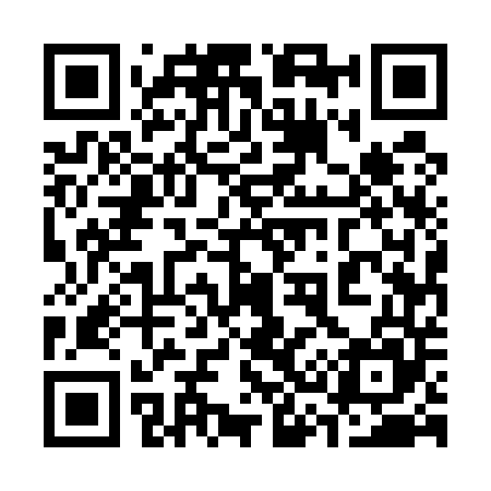 QR code for 335545