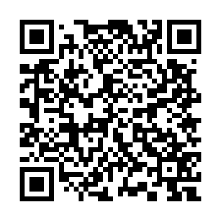QR code for 335577