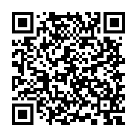 QR code for 335597