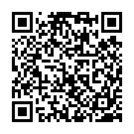 QR code for 335617