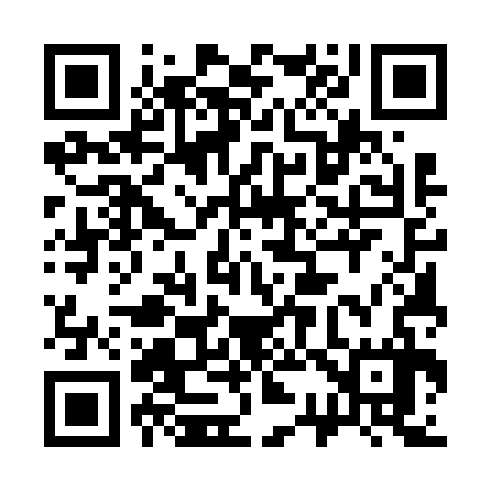 QR code for 335637