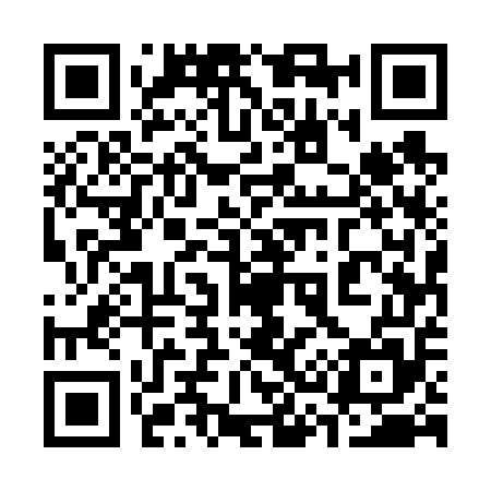 QR code for 335655
