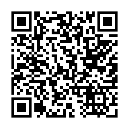 QR code for 335667