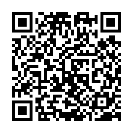 QR code for 335675
