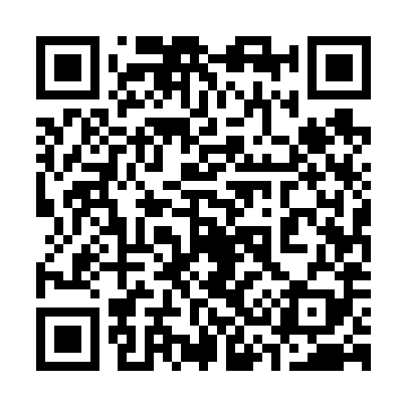 QR code for 335689