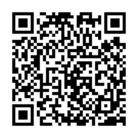 QR code for 335693