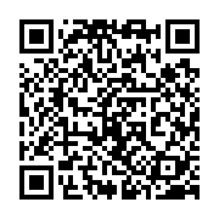 QR code for 335729